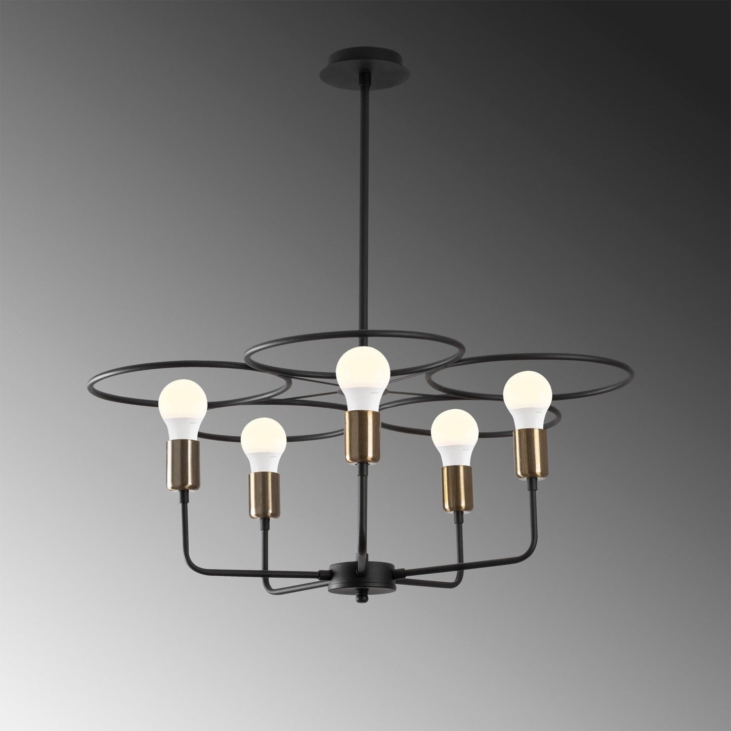 Circle - 1356 - Chandelier