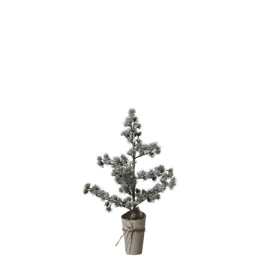 Pinea  H68 cm. grøn
