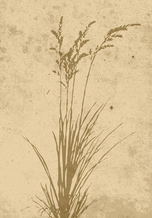 Plakat - Plant art - 21x30