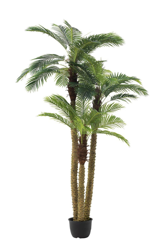 Palmetræ 3p i grude pl grn