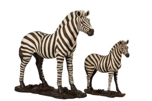 Zebra poly hvid/sort stor