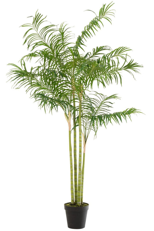 Bambus palme i gryde pl grn/bl l