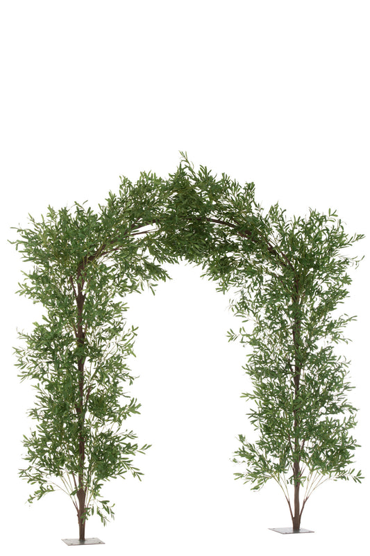 Arc olive branches pl grn/br