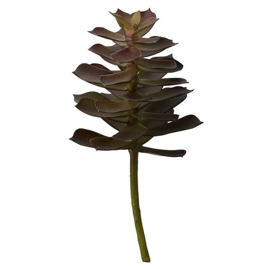 Flora  18 cm.