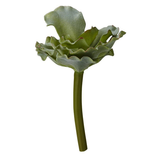 Flora  13 cm.