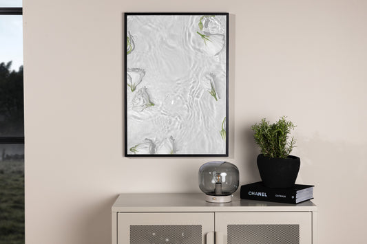 Plakat - Hvid roses - 50x70