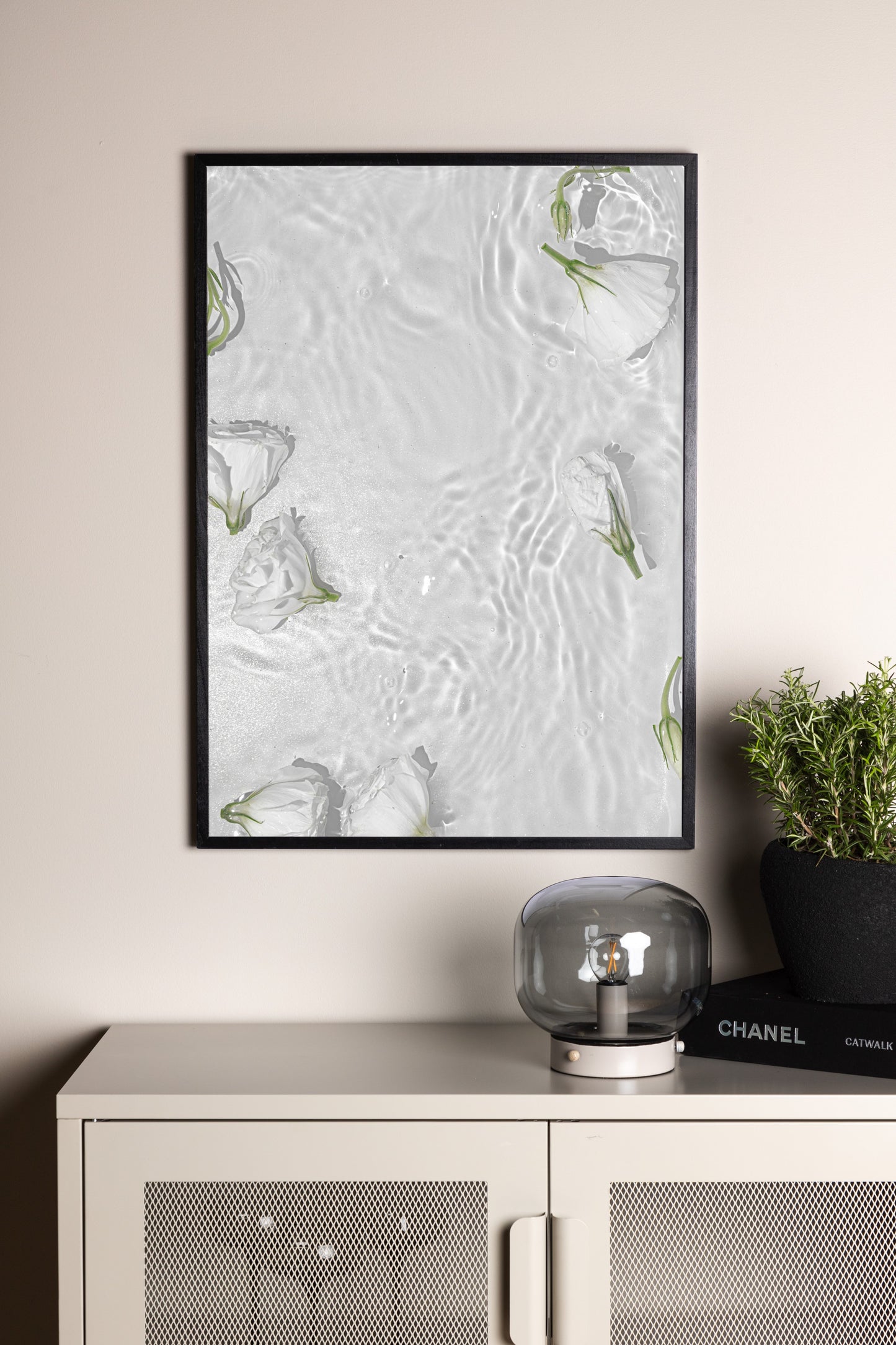 Plakat - Hvid roses - 50x70