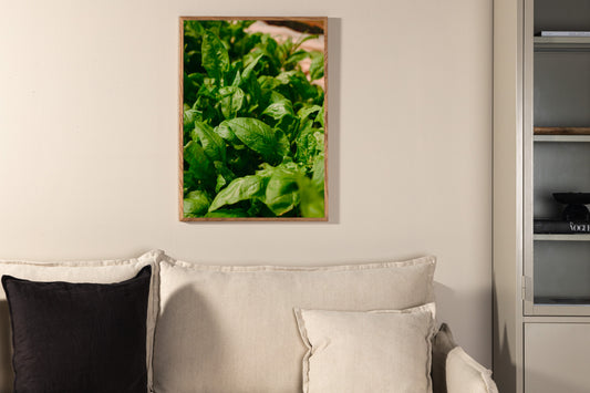 Plakat - Grøn leaf - 50x70